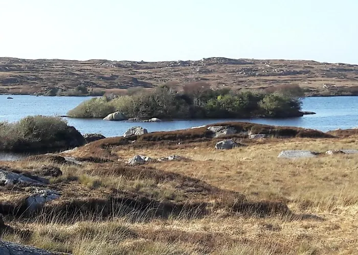 An Crann Glas Tatil Evi